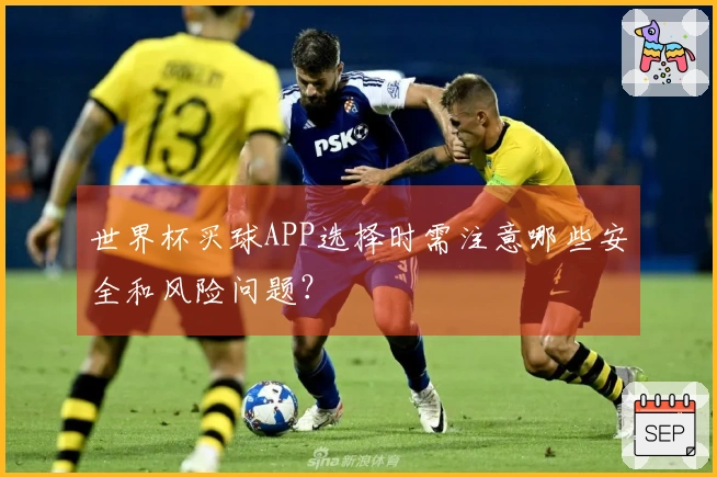 世界杯买球APP选择时需注意哪些安全和风险问题？