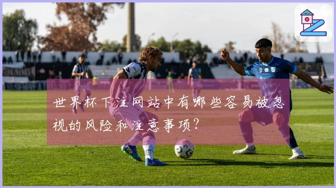 世界杯下注网站中有哪些容易被忽视的风险和注意事项？