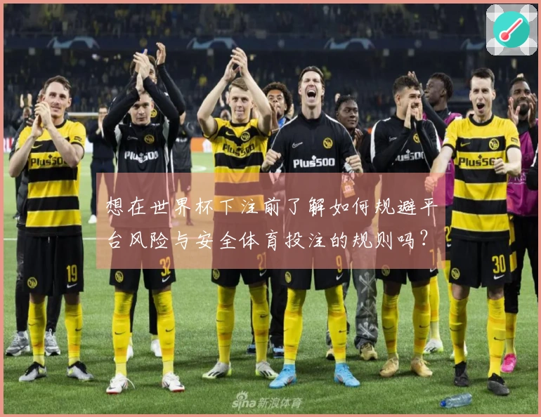想在世界杯下注前了解如何规避平台风险与安全体育投注的规则吗？