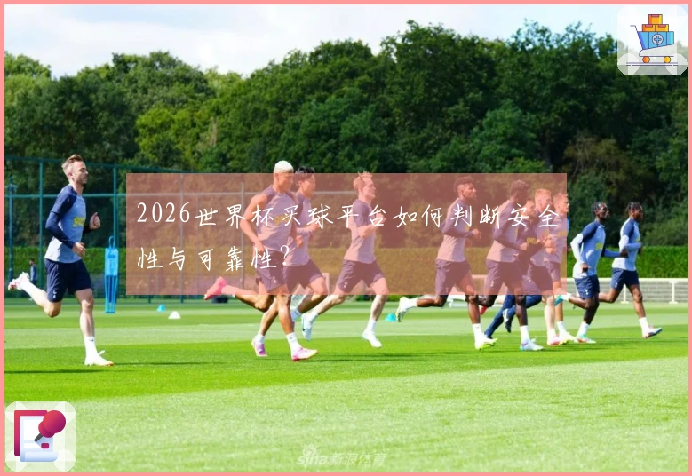 2026世界杯买球平台如何判断安全性与可靠性？