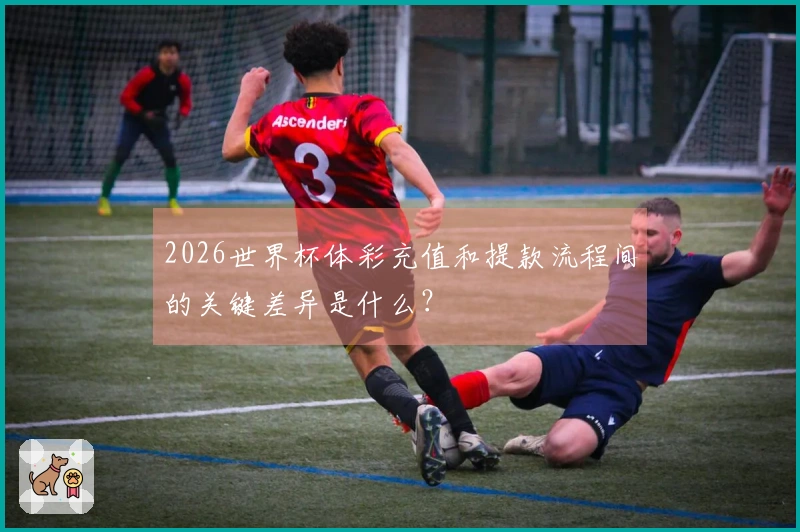 2026世界杯体彩充值和提款流程间的关键差异是什么？