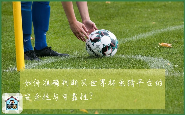 如何准确判断买世界杯竞猜平台的安全性与可靠性？