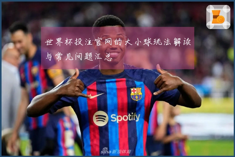 世界杯投注官网的大小球玩法解读与常见问题汇总