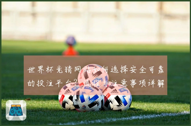 世界杯竞猜网站如何选择安全可靠的投注平台？流程与注意事项详解