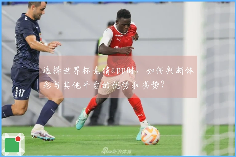 选择世界杯竞猜app时,如何判断体彩与其他平台的优势和劣势?