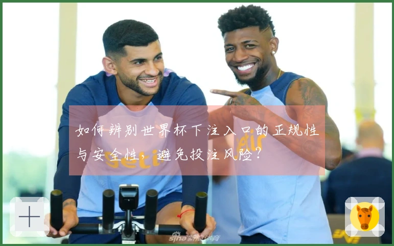 如何辨别世界杯下注入口的正规性与安全性，避免投注风险？