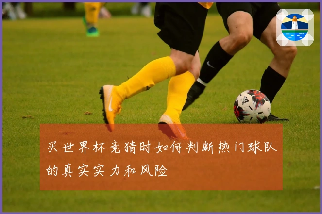 买世界杯竞猜时如何判断热门球队的真实实力和风险