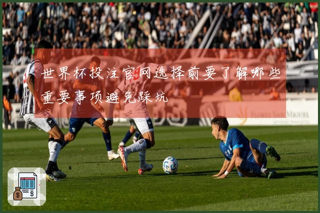 世界杯投注官网选择前要了解哪些重要事项避免踩坑