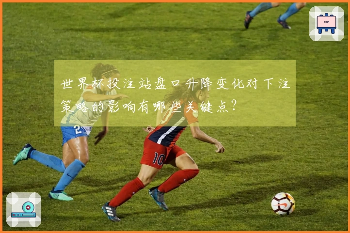 世界杯投注站盘口升降变化对下注策略的影响有哪些关键点？