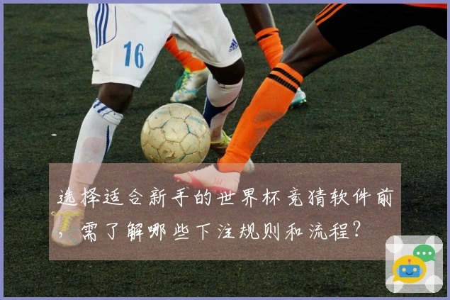 选择适合新手的世界杯竞猜软件前,需了解哪些下注规则和流程?