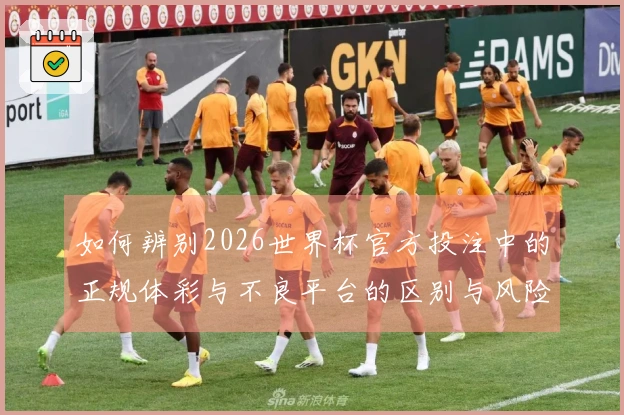 如何辨别2026世界杯官方投注中的正规体彩与不良平台的区别与风险分析