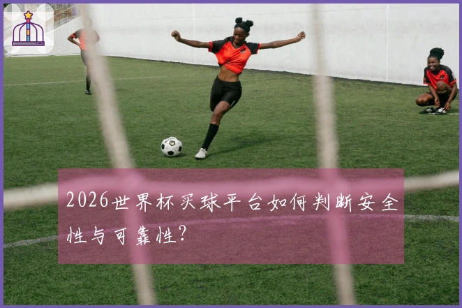 2026世界杯买球平台如何判断安全性与可靠性?