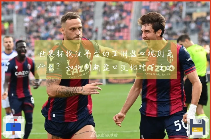 世界杯投注平台的亚洲盘口规则是什么？如何判断盘口变化对下注的影响？