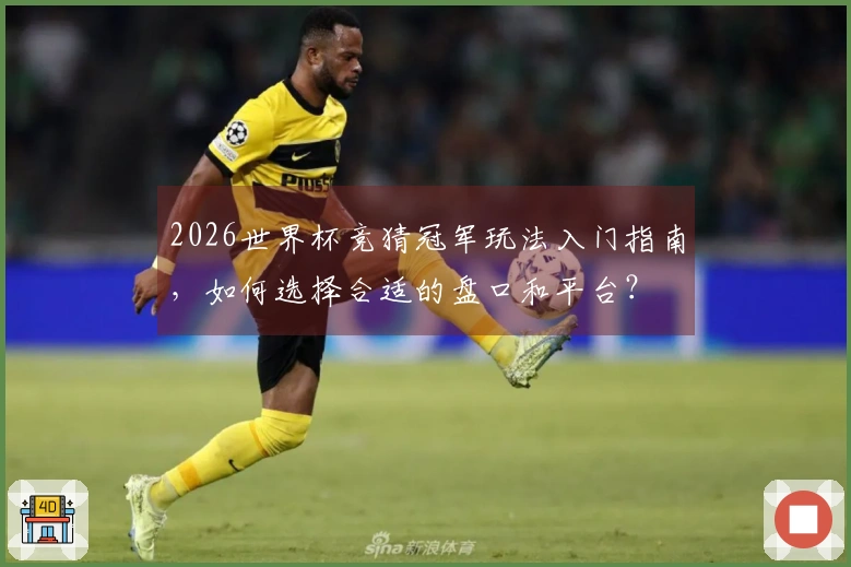 2026世界杯竞猜冠军玩法入门指南，如何选择合适的盘口和平台？