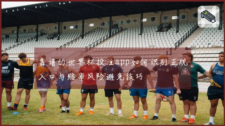 靠谱的世界杯投注app如何识别正规入口与赔率风险避免技巧