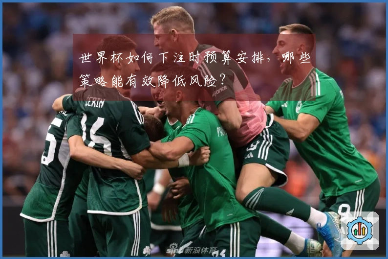 世界杯如何下注时预算安排，哪些策略能有效降低风险？