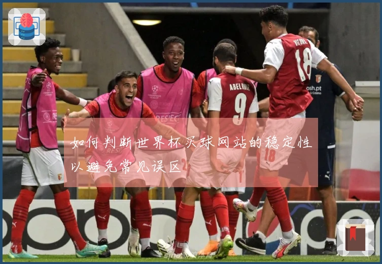 如何判断世界杯买球网站的稳定性以避免常见误区