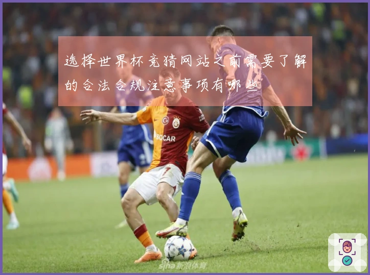 选择世界杯竞猜网站之前需要了解的合法合规注意事项有哪些